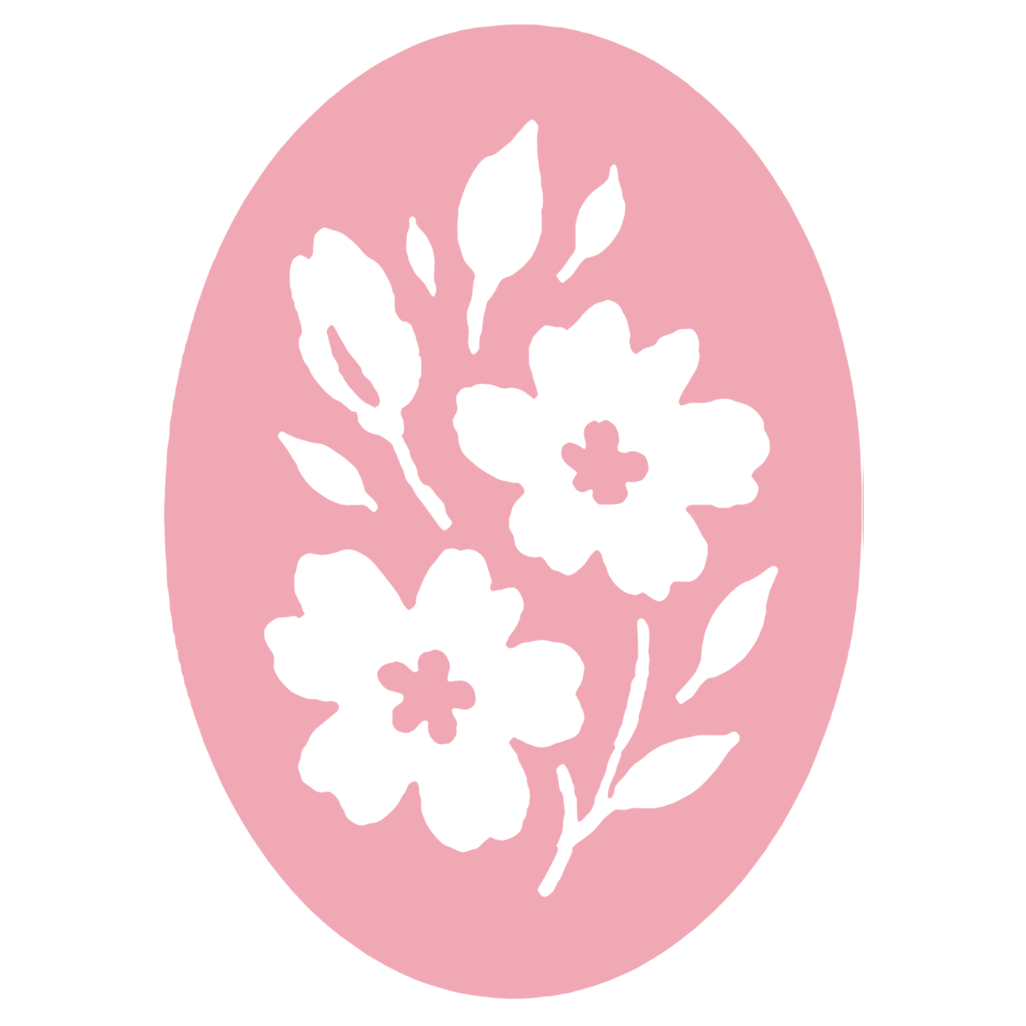 Chicago Brand Photographer & Coach For Women